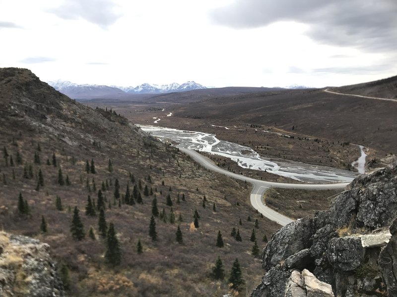 Great views of Denali and the Savage River!