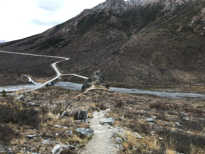 Trailhead looking back towards Savage River & Denali Park bridge crossing