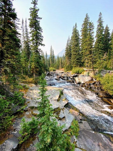 Fast waters pushing down the Big Timber Creek.