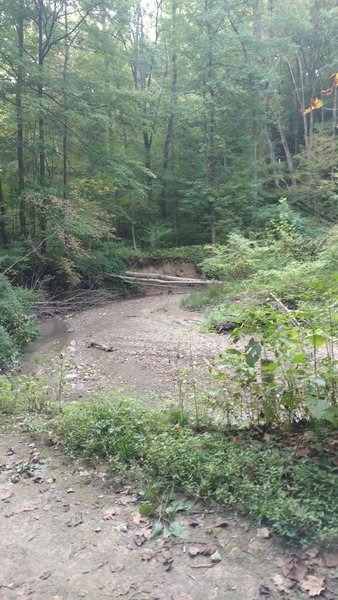 A view of Adam Run creek while it is dry.