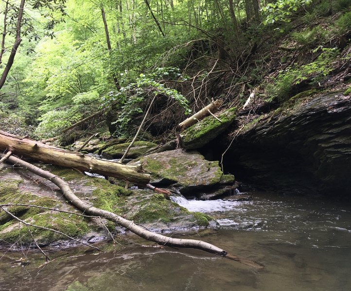 Cold, clear creek along the Mason Dixon Trail.