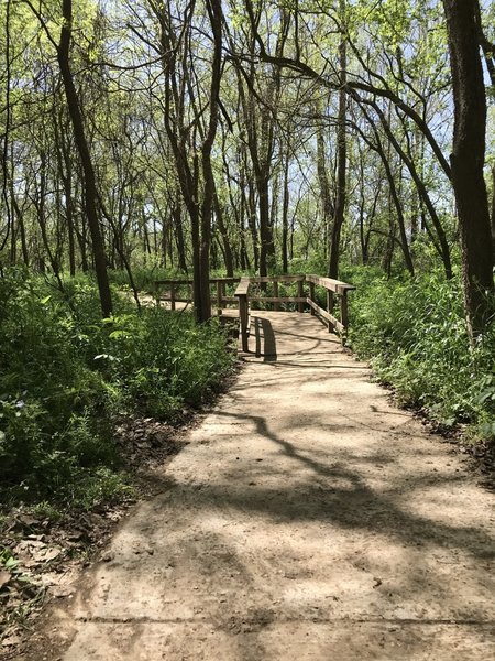 ADA trail from the trailhead to the picnic area.