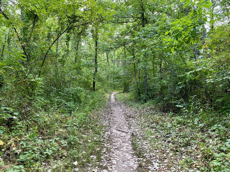 Green, shady, quiet, and flat -- Saw Wee Kee Park is a low key, easygoing escape about an hour from Chicago.