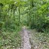 Green, shady, quiet, and flat -- Saw Wee Kee Park is a low key, easygoing escape about an hour from Chicago.