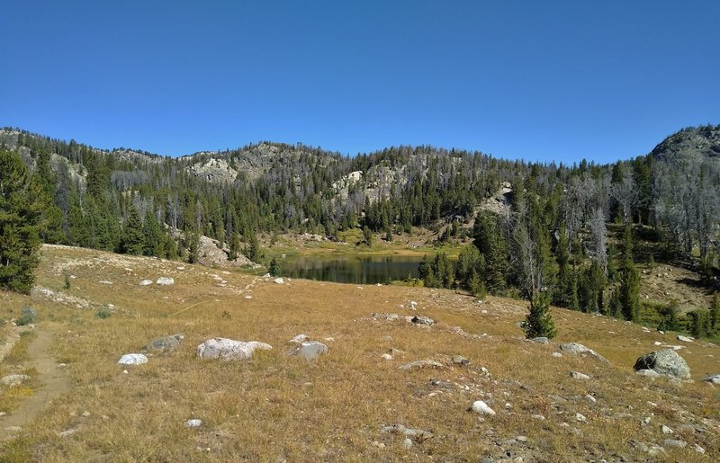 Summit Lake Trail passes cute, little, blue-green Gottfried Lake in the meadows and pines of the high country.