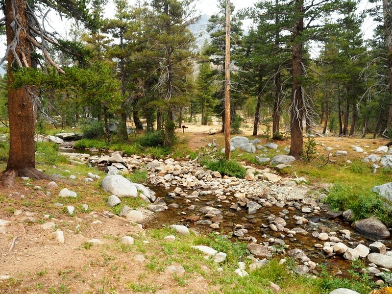 At the Summit Lake and Virginia Pass Trail junction.