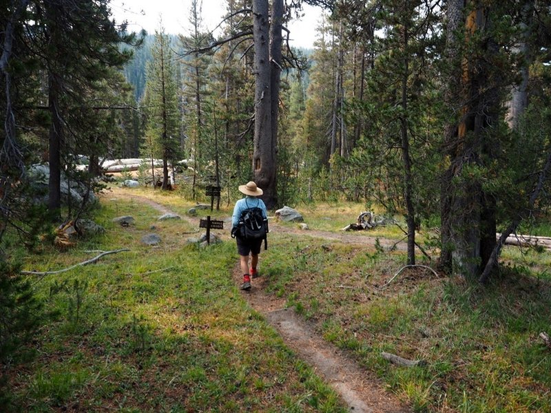 At the junction of the Virginia Canyon Trail and the PCT.