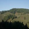 A view of the North Ridge Trail as it descends down the hillside. This is looking back as you climb up the hillside.