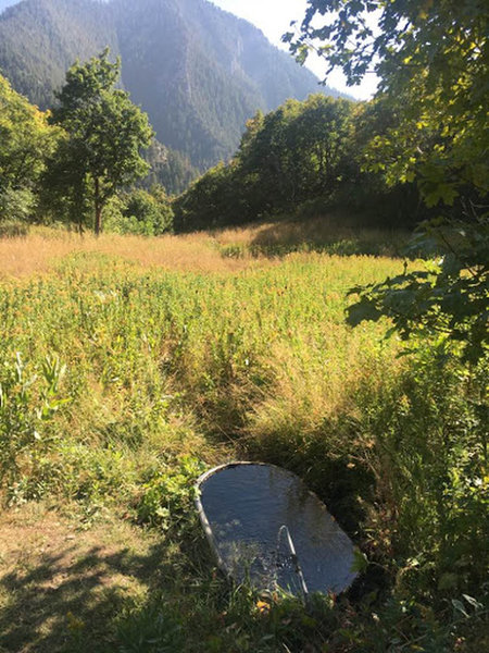 THE BATHTUB! Did my best to mark it on the map - there is a little campsite (maybe just a fire pit) with big cement boxes. The main trail continues straight through, but the bathtub is just a few steps down the little side path.