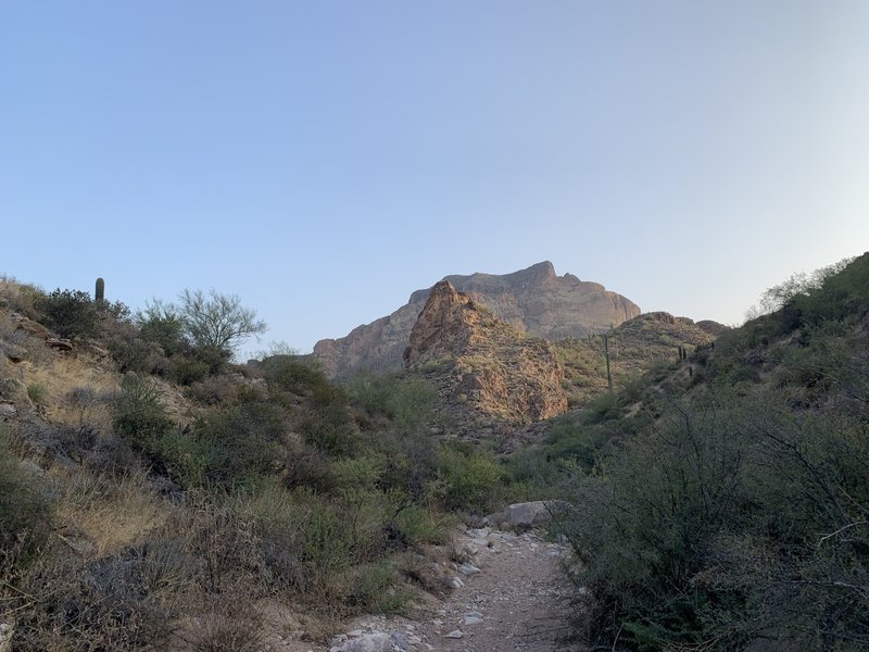 some of the trail is in dry washes.