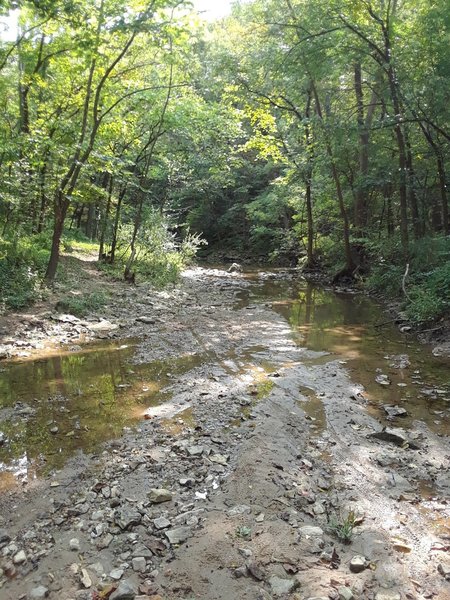 Big Branch Creek