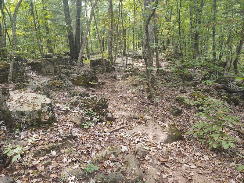 Rock outcropping near midtrail.