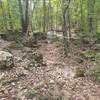 Rock outcropping near midtrail.