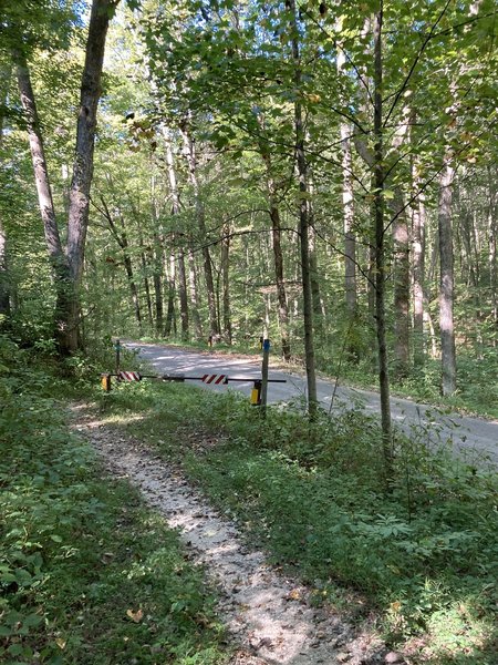 Road Cutthrough on trail.