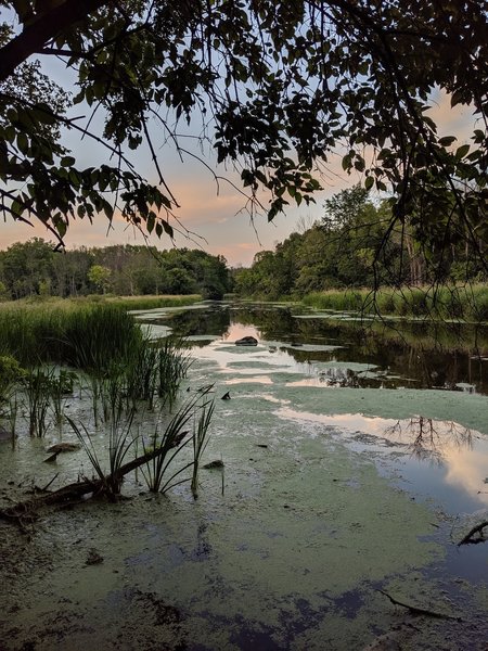 Awesome golden hour view of the river just off the trail