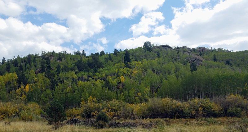 The Turning of Fall Colors Near Crystal Reservoir