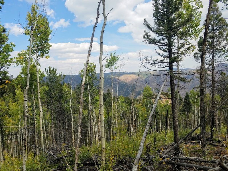 View toward Waldo Canyon Burn Scar