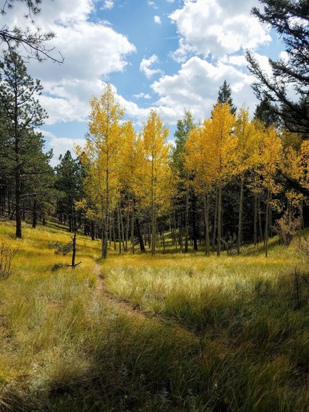 View down into Crow Gulch with fall colors