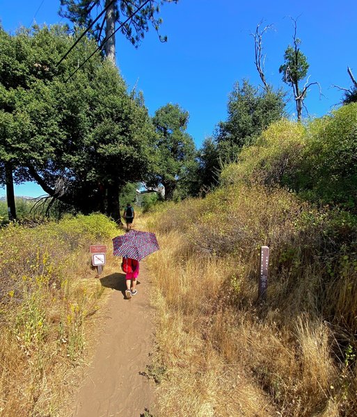 Start of the Eastside Trail