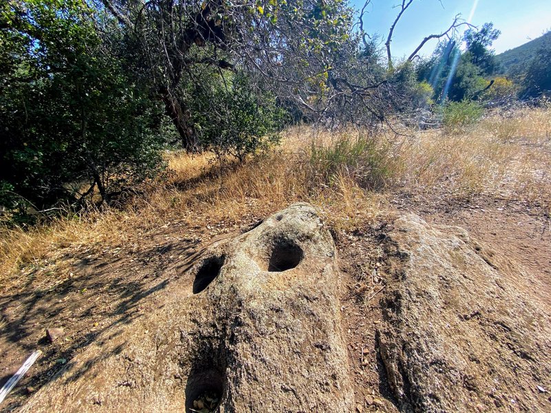 These holes are 'morteros,' used by the Kumeyaay indians to grind down acorns and other mast.