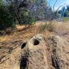 These holes are 'morteros,' used by the Kumeyaay indians to grind down acorns and other mast.