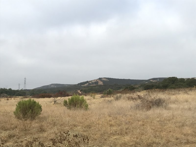 Los Peñasquitos Canyon Trail, north