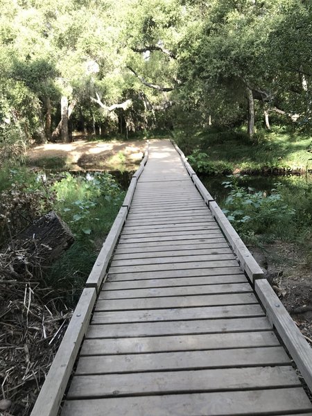 Footbridge at Carson's Crossing