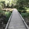 Footbridge at Carson's Crossing