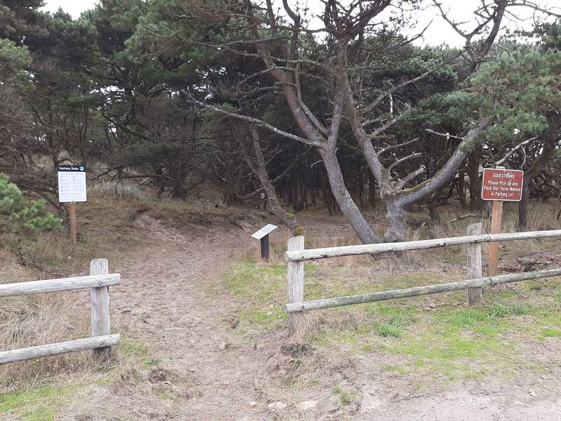 Trailhead at the county boat launch with interpretive signs and picnic tables.