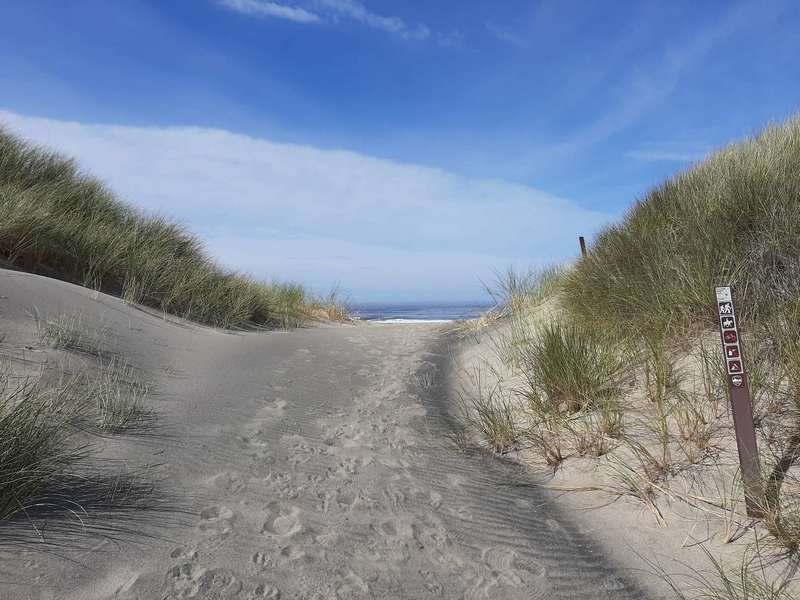 A wide sandy track leads over a dune and to the ocean.