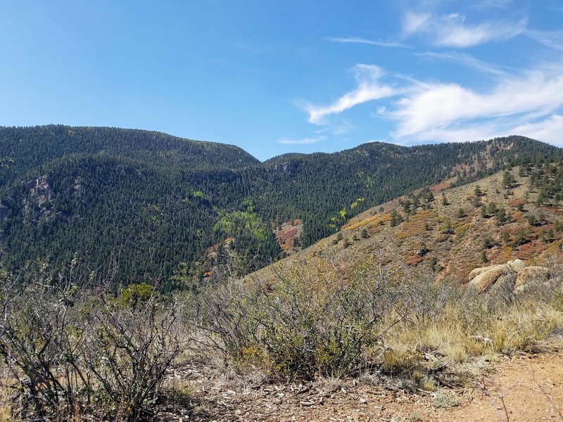 Most definitely High Desert Vegetation