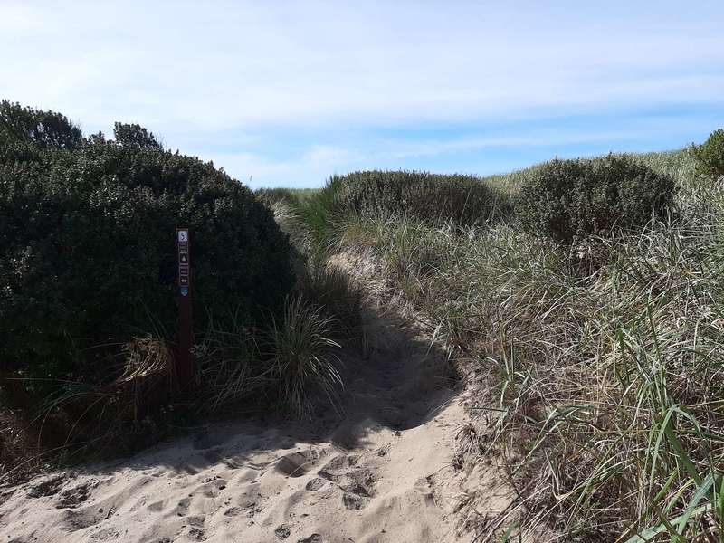 The sandy intersection of Marsh Trail and Dune Ridge Trail