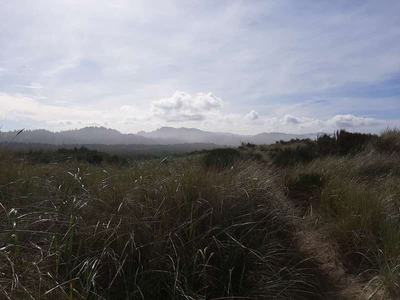 A sandy trail mostly hidden by dune grass heads towards distant hills.