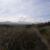 A sandy trail mostly hidden by dune grass heads towards distant hills.