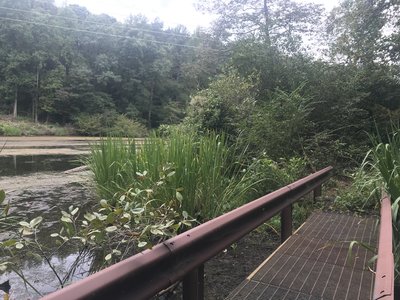 First bridge coming from dam trailhead.