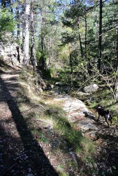 Barranco de la Pegunta