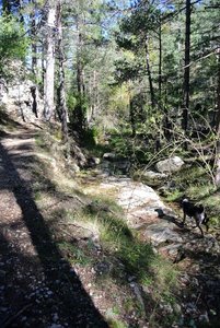 Barranco de la Pegunta
