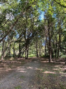 The trail goes from the prairie and into a wooded area, where the terrain is a bit rougher, but still mostly even. There are lots of twists and turns in the trail in the wooded area that aren't all shown in the aerial map. Choose your adventure!