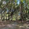 The trail goes from the prairie and into a wooded area, where the terrain is a bit rougher, but still mostly even. There are lots of twists and turns in the trail in the wooded area that aren't all shown in the aerial map. Choose your adventure!