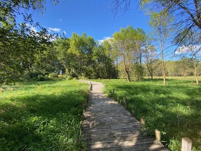 Another wooden bridge over a marshy area. Watch out, it can be slippery if it just rained!