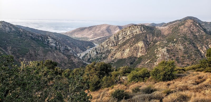 Views from the Trespass trail of the 101 and the ocean under the fog