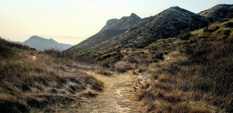 View of a trail split, the Gaviota Peak trail is to the left. Not terribly obvious as you feel like following it around the peak and down.