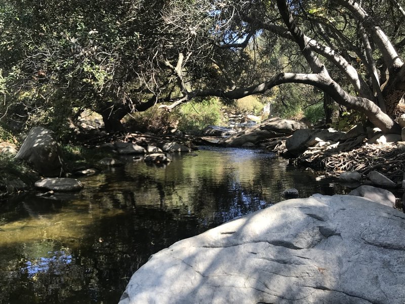 Creek at entrance to reserve