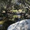 Creek at entrance to reserve