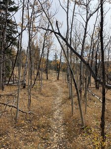 Descending the trail.