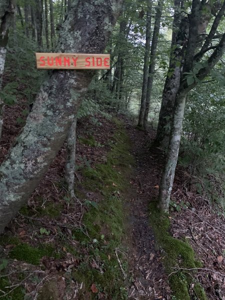 "Sunny Side" is a segment about 8 miles into the mtb trail, which you can hike without fuss as I have yet to see but one other person there along the whole route. Beautiful trail, lots of deer and squirrels this time of year.