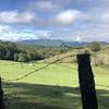 Grandfather Mountain as the clouds clear