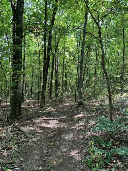 Fall on the Big Red Trail...