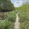 Coming around the backside of Wetland Trail