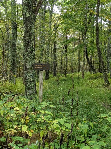 Conservancy Trail Sign near Highway 714.